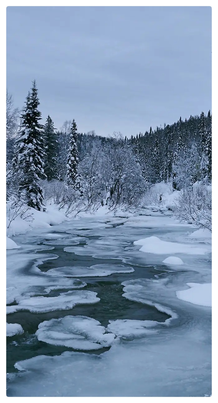 《冬韵 落雪》作者:六月荷 朗诵/配乐:柳顺涛(图10)