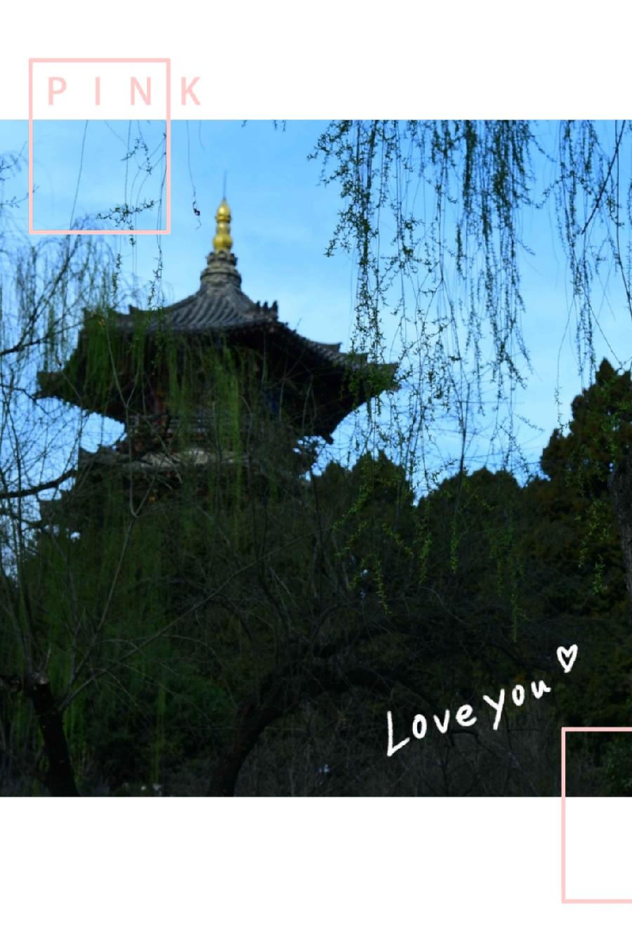 这一年 不说再见(图5)