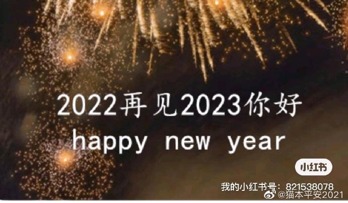 回眸2022年