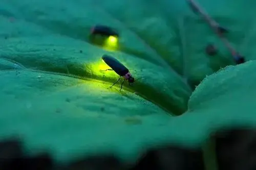 风雅诗社·第三十八期·自由诗篇（图2）