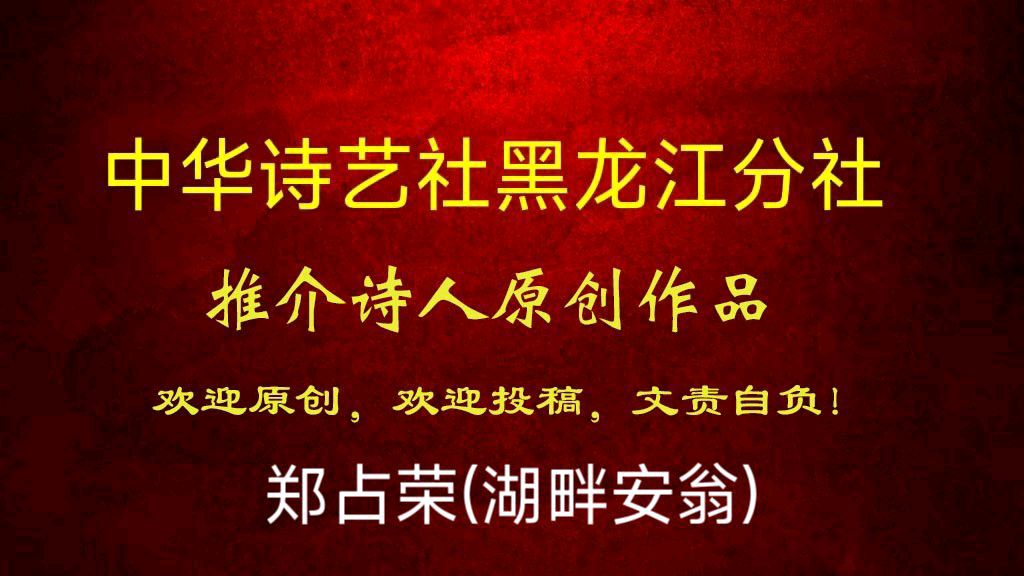 郑占荣（河北）原创首发鹧鸪天三首