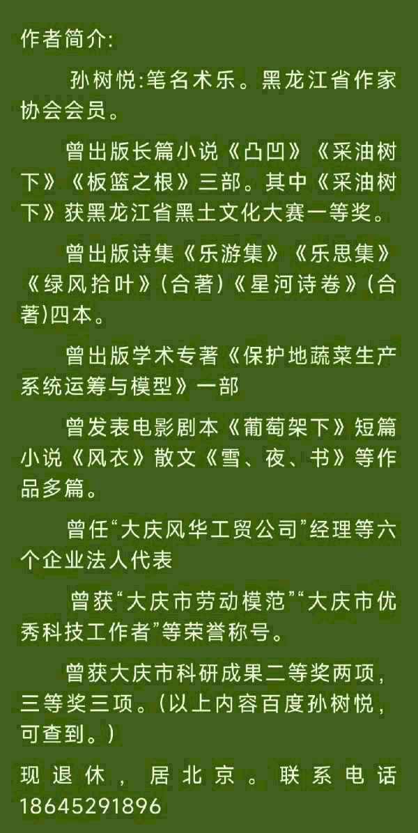 书乐(孙树悦)原创新诗:元旦忆元旦(外二首)（图7）