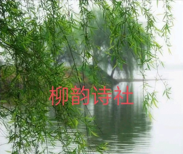 【第一百零八期】柳韵诗社每日古诗诵（121）