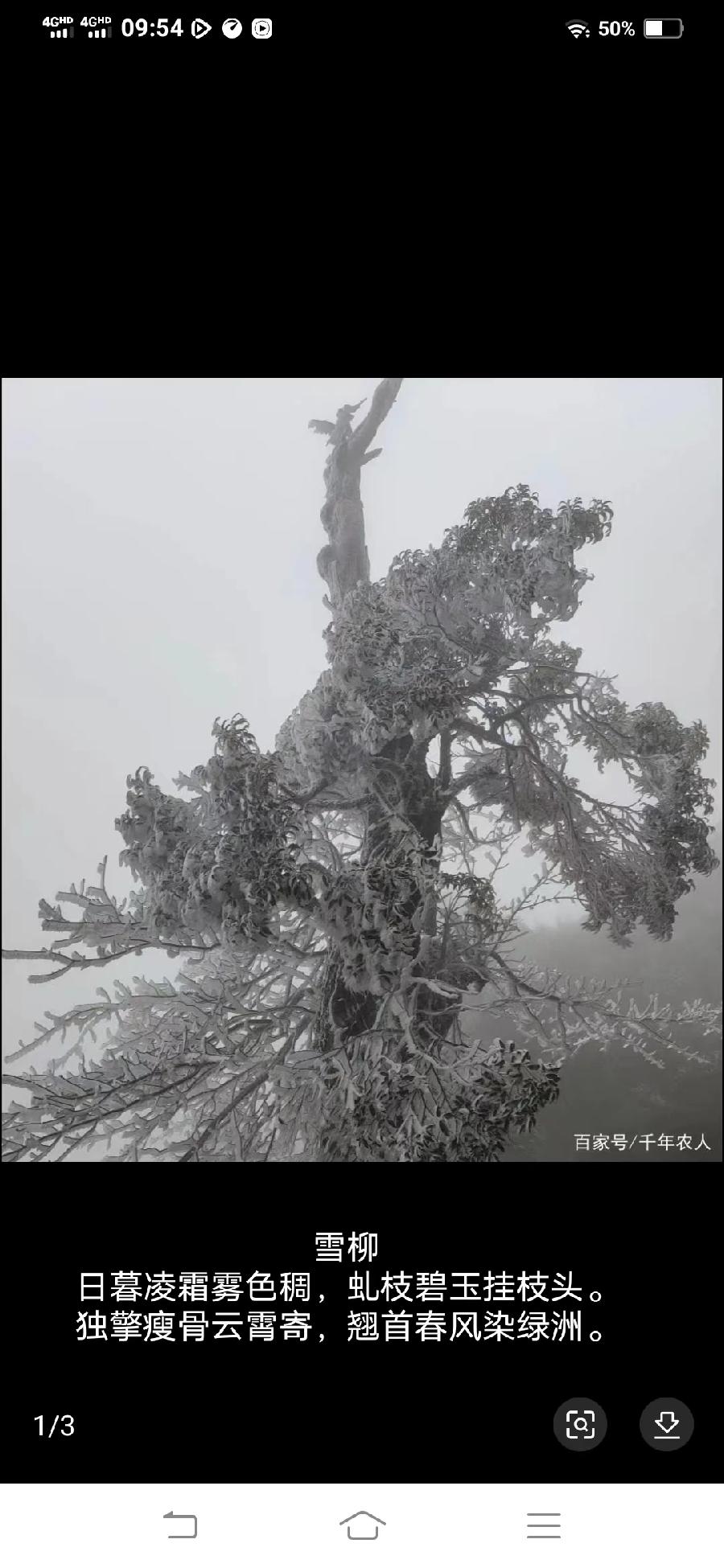 ★贺新元之十七:赵清河题图诗选萃‖巴彦诗协诗词卷【307】(图7)