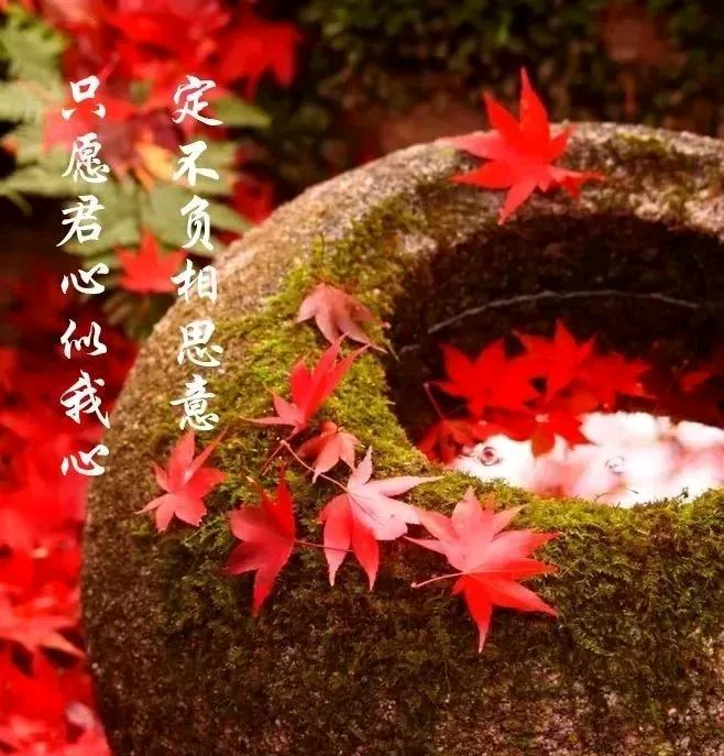 心尘文艺 第778期