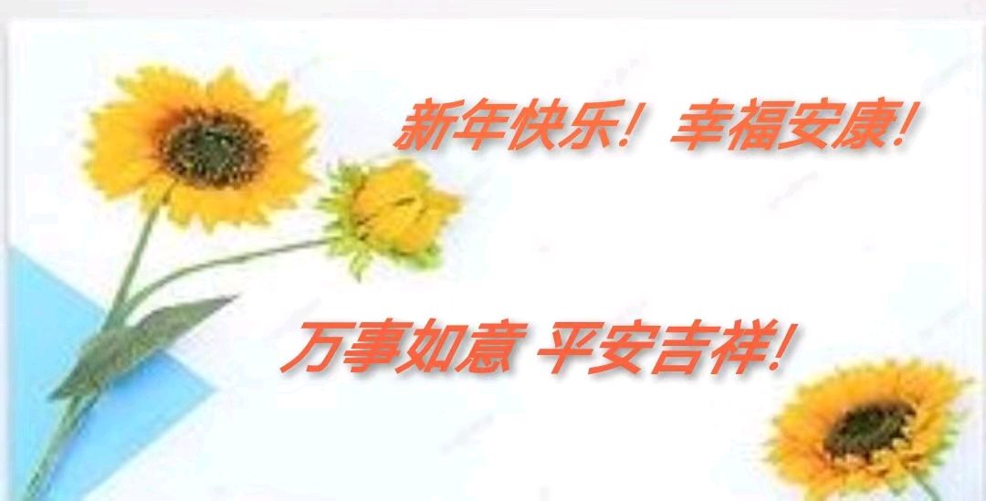 《成就梦想,启航2023中国散文学会北戴河创造基地文学院新年晚会专刊》编辑/雨杉【花雨馨声第169】(图40)