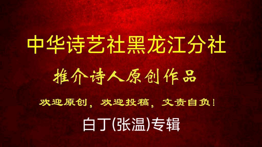 张温(白丁)原创首发新诗四首