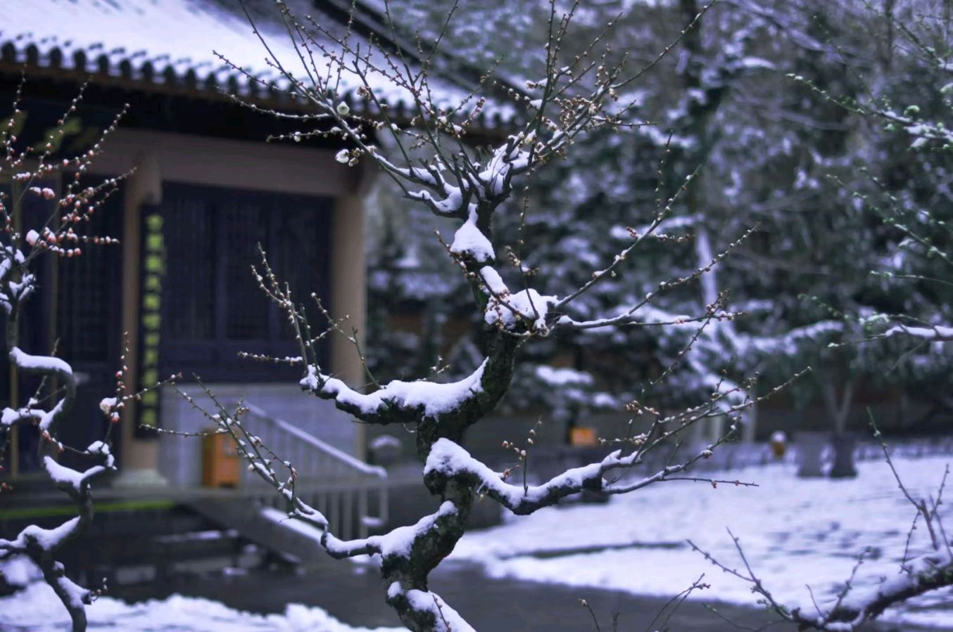 雪山飞狐原创:天下乐·辞旧迎新（图10）