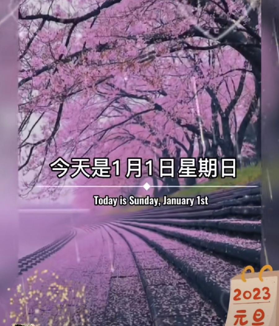 【都市头条向幸福出发编辑部】第1357期 王新华作品7（图2）