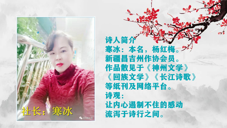 紫菱菱朗诵【我想给自己画一双翅膀】作者/寒冰（图5）