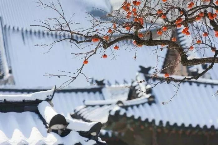 紫菱菱朗诵【我想给自己画一双翅膀】作者/寒冰（图2）