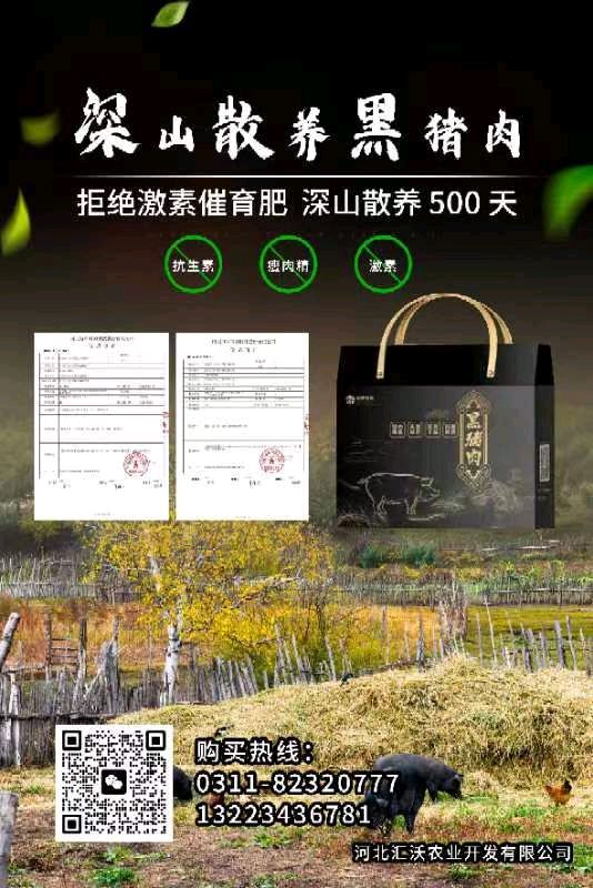 实在井陉 | 组诗《黑猪肉》(图7)