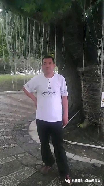 《你是我一生的疤》作者:七里【主播:知语】【桃源国际诗歌集团】用声音传递温暖以诵读致敬人生♬（图9）