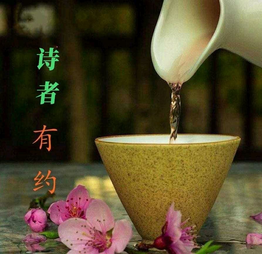 《你是我一生的疤》作者:七里【主播:铁魂】【桃源国际诗歌集团】用声音传递温暖以诵读致敬人生♬（图8）
