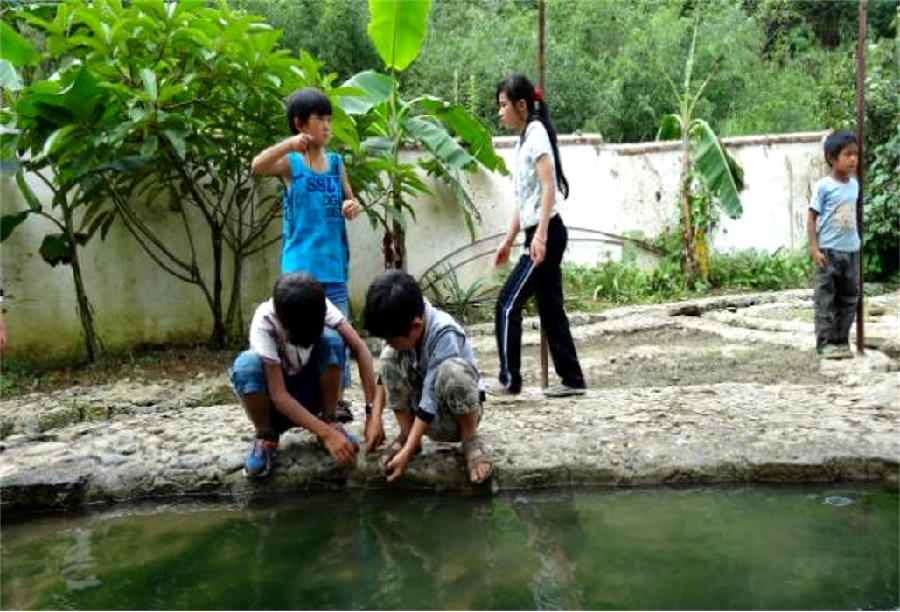 “三标课堂”走进落松地小学（图9）