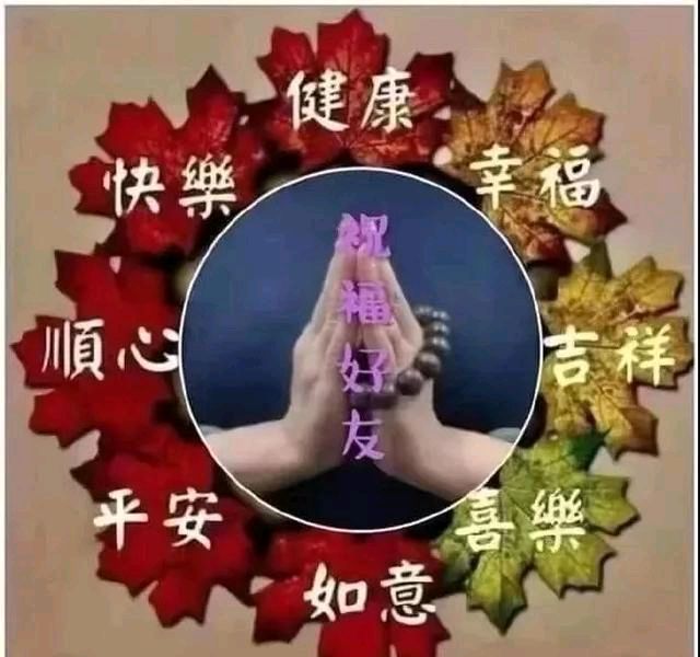 《我祈祷》作者/解甲归田 诵读/馨睿 编辑/雨杉【花杉馨声】有声文学平台【第170期】（图2）