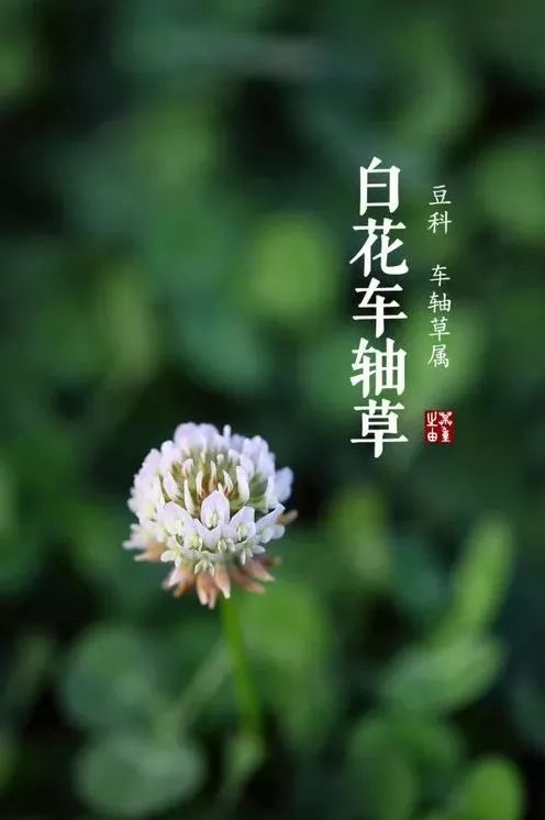 人，性/谦诚