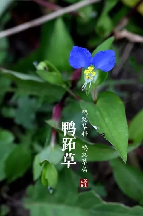 人,性/谦诚(图3)