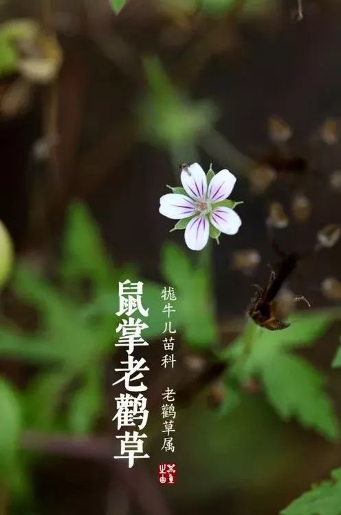 人,性/谦诚(图4)