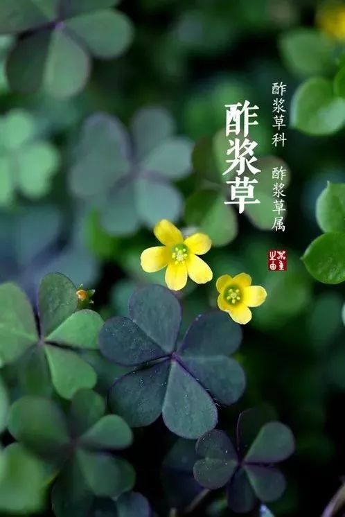 人,性/谦诚(图5)