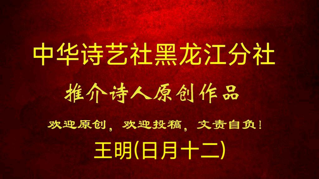 【原创】王明(日月十二):藏头姊妹诗——喜迎新年 兔年大吉