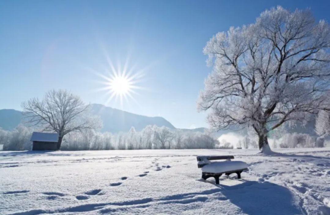 七律 冬雪 十首 文/杨振国（北京）京津沪头条（图2）