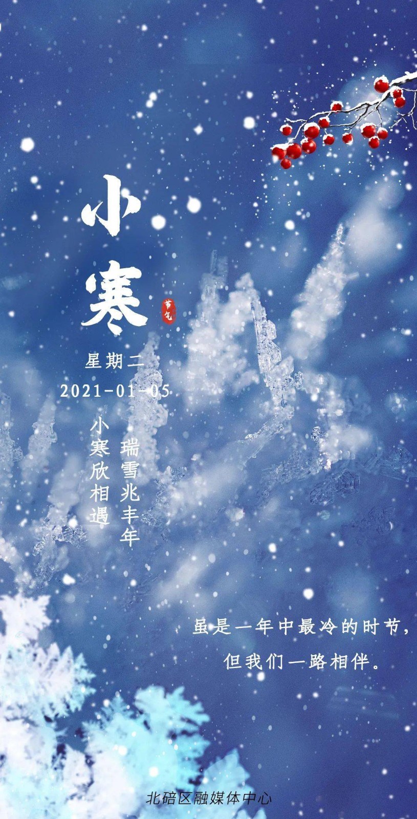 琦琦赵朗诵【小寒感言】作者/王胜利（图4）