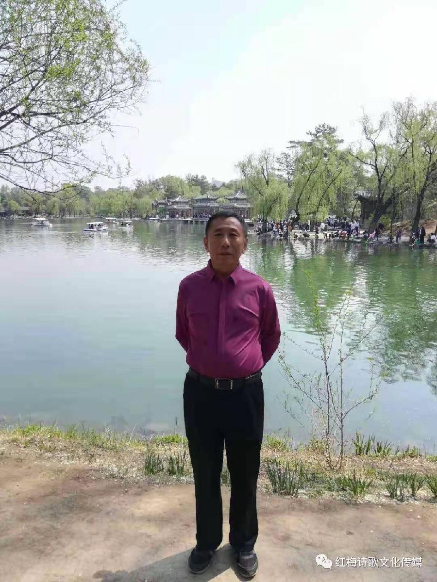 新元寄语选萃‖巴彦诗协诗词卷【308】(图24)