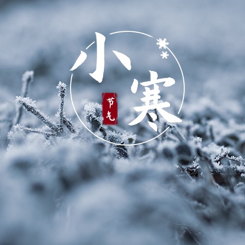 诗人白丁(张温)原创诗词欣赏（图4）