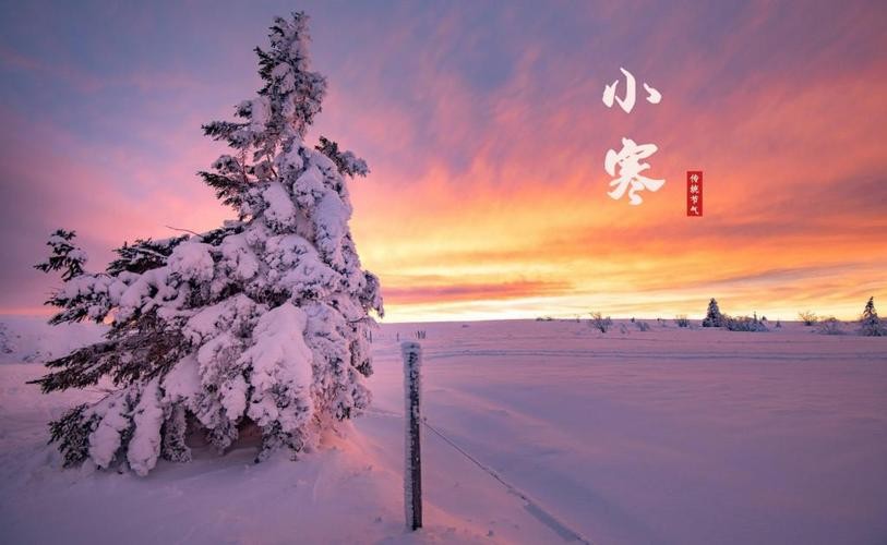 【经典推荐】“农民诗人”曹南强//小寒｛四首｝（图4）