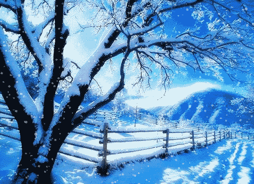 《听雪》作者/张元平 诵读/馨睿 编辑/雨杉【花雨馨声】有声文学平台【第176期】（图3）
