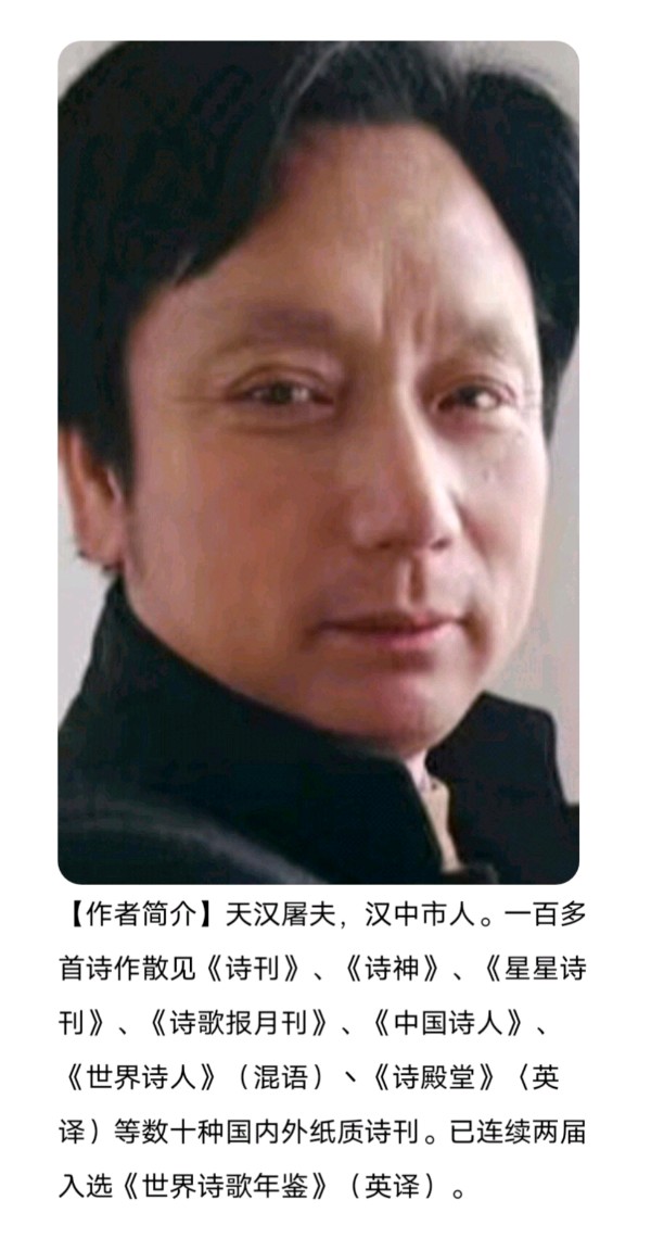 【上海头条】诗与评15期‖作者：天汉屠夫 诗评：天涯（图2）