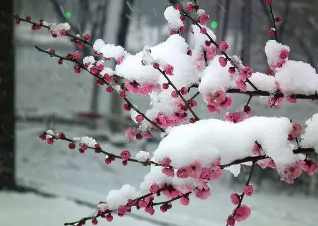 华夏流水诗社‖常驻诗人王俊杰老师专辑（图2）