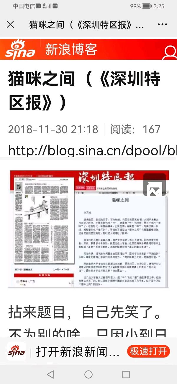 猫咪之间