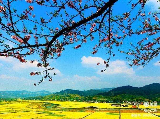 晓梅朗诵【节日的欢歌，涌动的春潮】作者/马文振（图5）