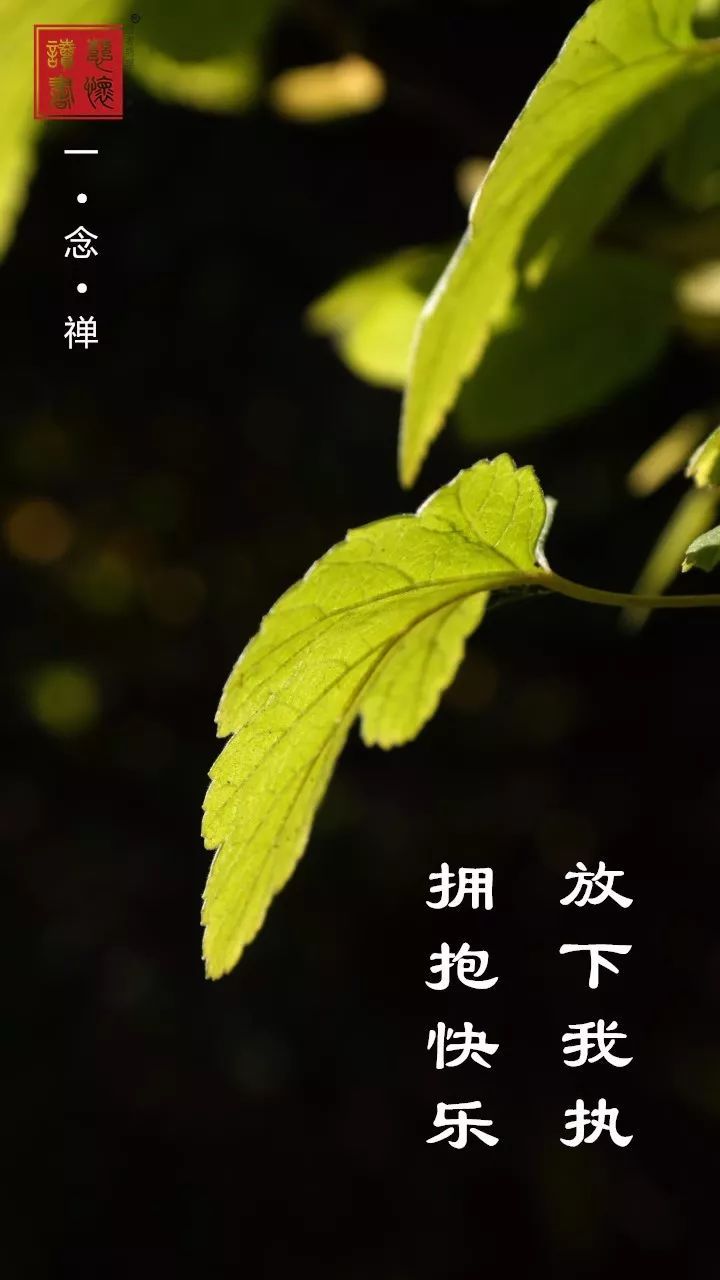 丰湖教育线上论坛(14)孟国泰:生命教育与智慧人生(2)(图6)