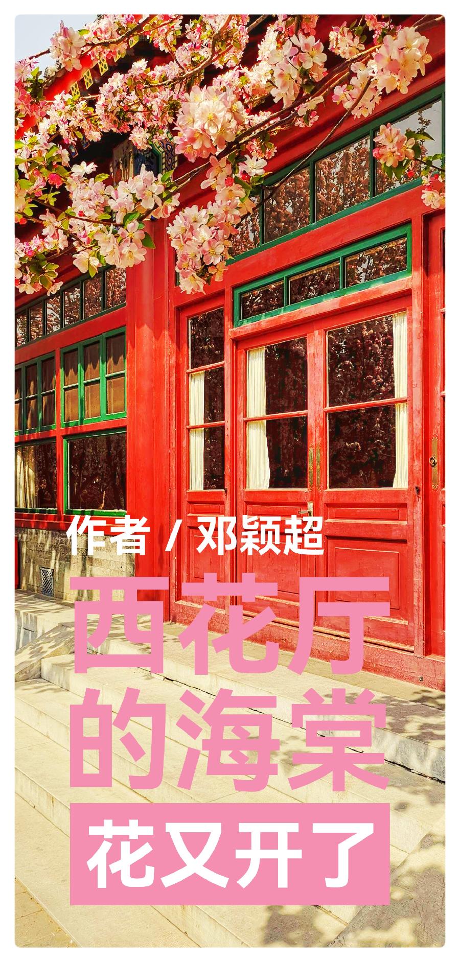 西花厅的海棠花又开了 作者:邓颖超 诵读:爱国 白琳 安妮波 艳滨 陈素梅 胡瑛 鹤凡 王莉 茶香(图2)