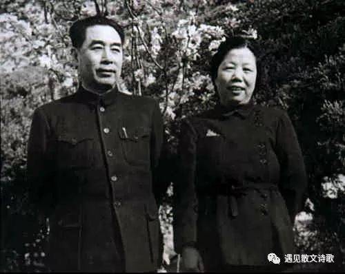 杨勤莲震撼诵读/海棠花祭（图4）