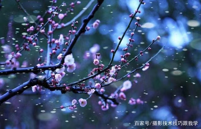 【都市头条向幸福出发编辑部】第1788期 曲素娥诗词 168