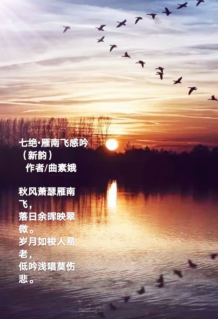 【都市头条向幸福出发编辑部】第1848期 曲素娥诗词 228