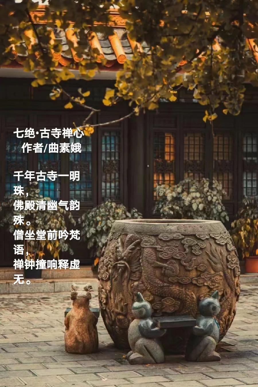 【都市头条向幸福出发编辑部】第1850期 曲素娥诗词 230