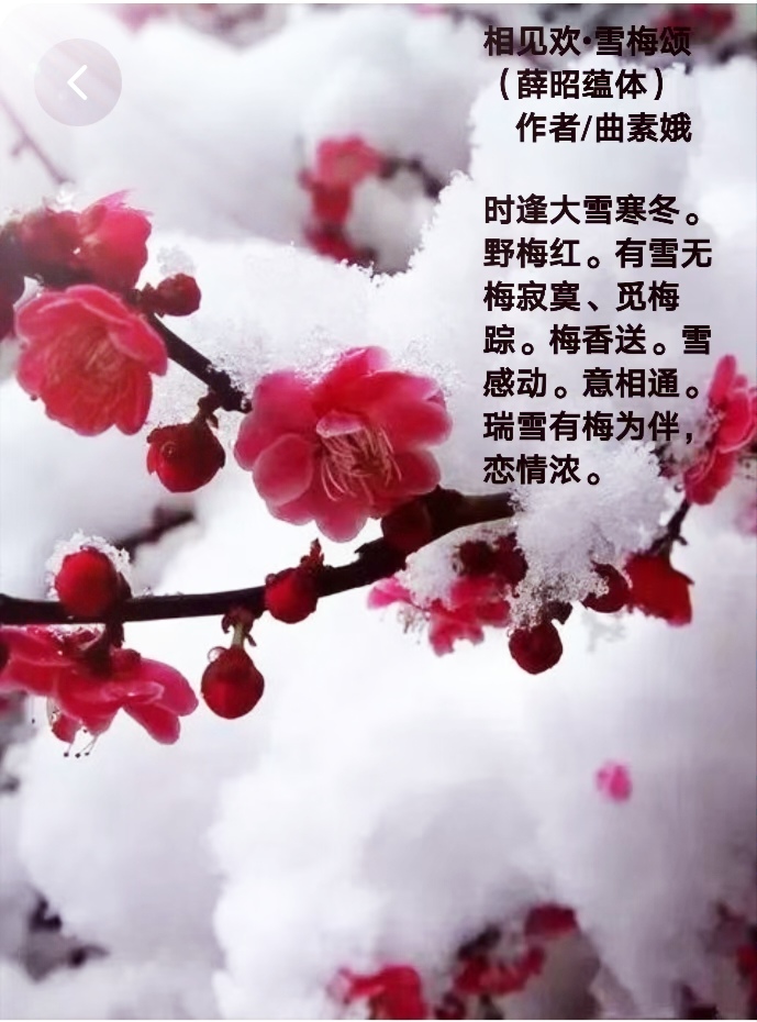 【都市头条向幸福出发编辑部】第1926期 曲素娥诗词303