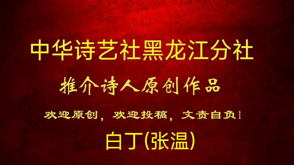 诗人白丁原创首发新诗:岁月(外四首)