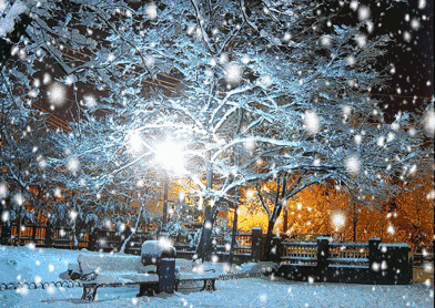 【新诗大观】落雪||文/王春魁