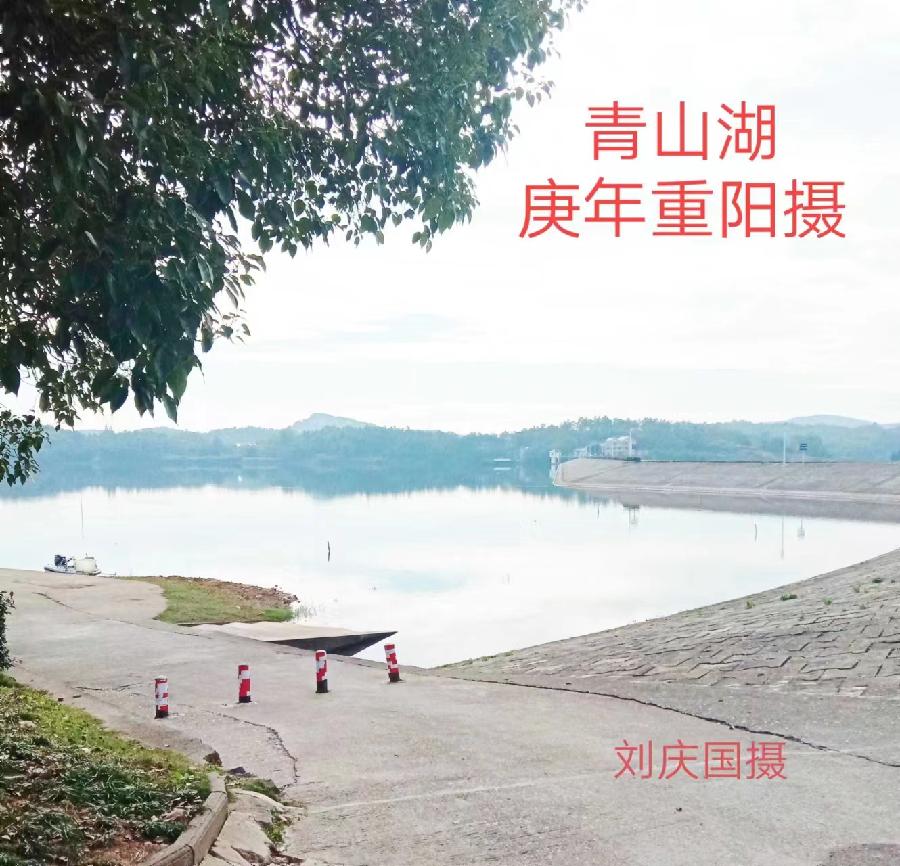 星火诗社一百零三期个人专辑《特邀嘉宾一刘庆国》（图20）