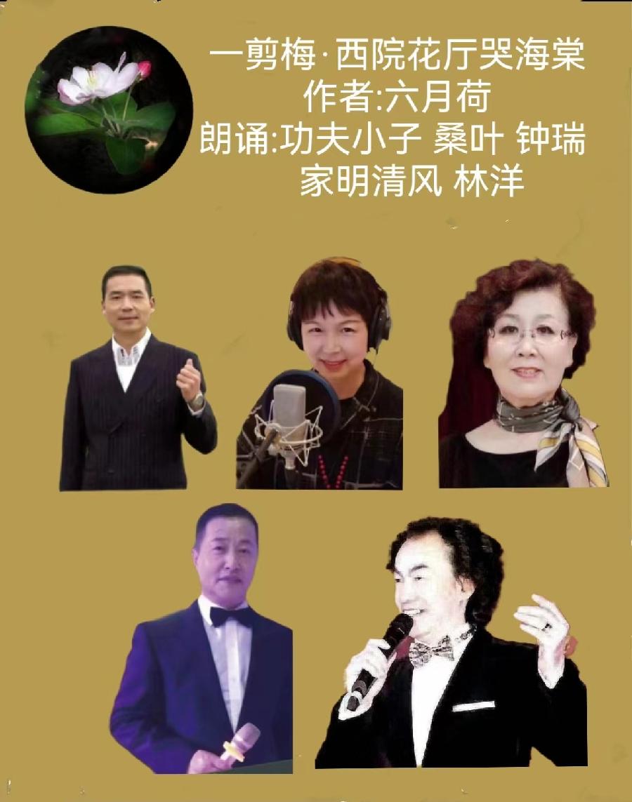 六月荷教授原创古词 ‖【一剪梅·西院花厅哭海棠】朗诵/听你花开的港湾主播（图9）