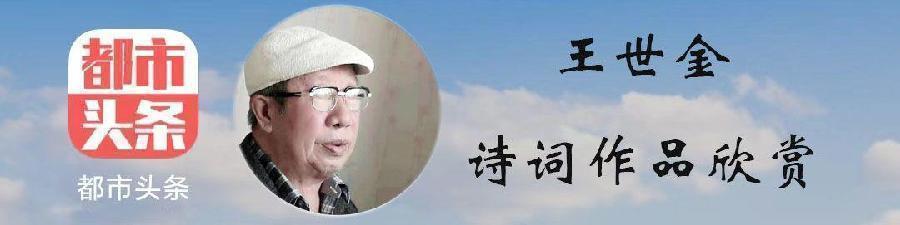 王世金(辽宁):纪念周总理逝世四十七周年（图3）