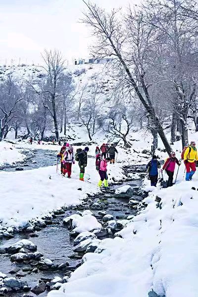 诗人林杨(黑龙江):雪中穿行（图4）