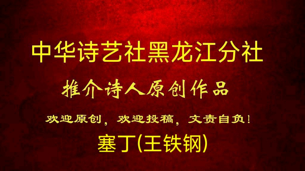 塞丁(王铁钢):《举杯向月——摘自我的纸质诗集《醉枫亭》（塞丁著）之（57）:》(外一首)
