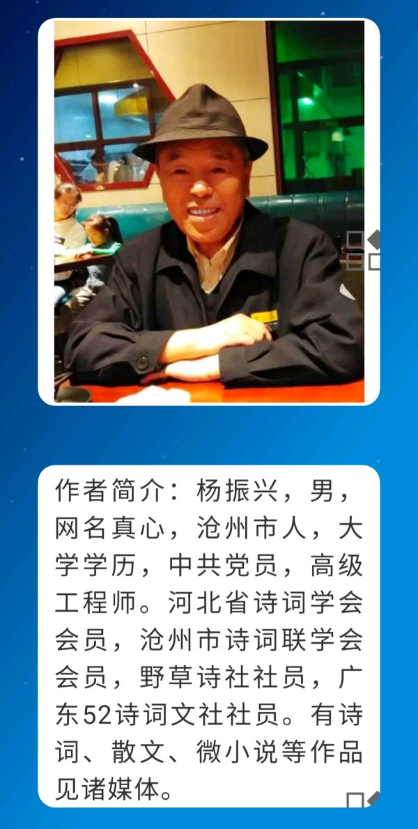 杨振兴力作《缅怀周总理》（图3）